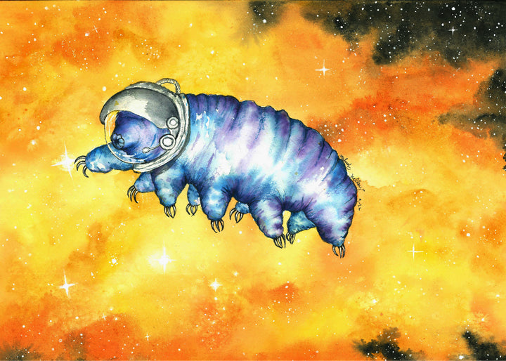 Cosmic tardigrade